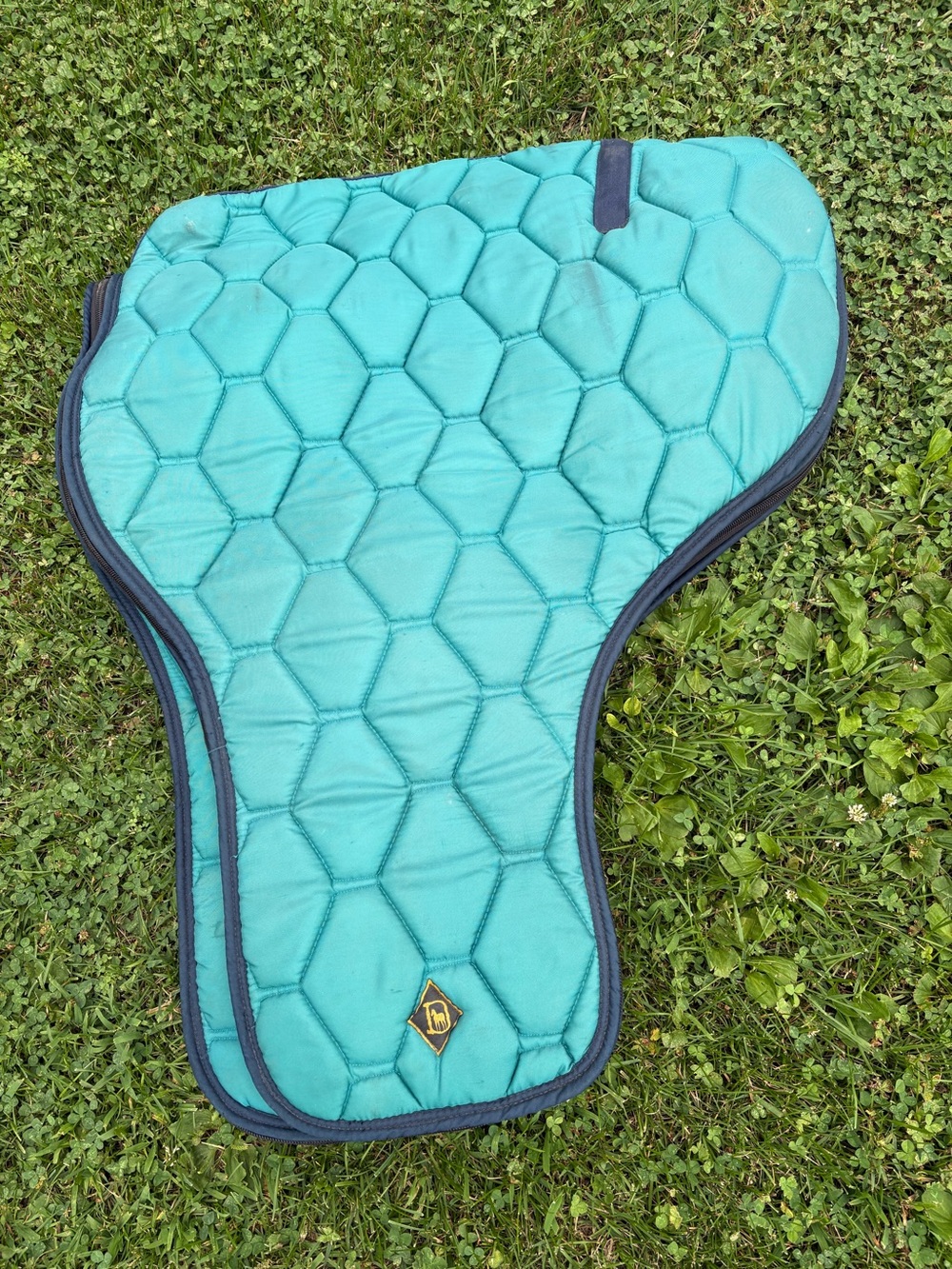 Horse Tack Big D Padded Teal Western Saddle Bag/Cover
